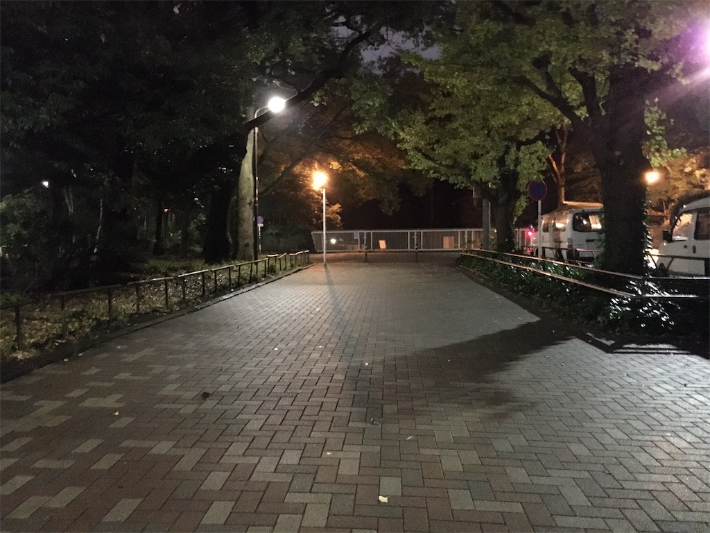 f:id:im0084mirage:20191111220828j:plain