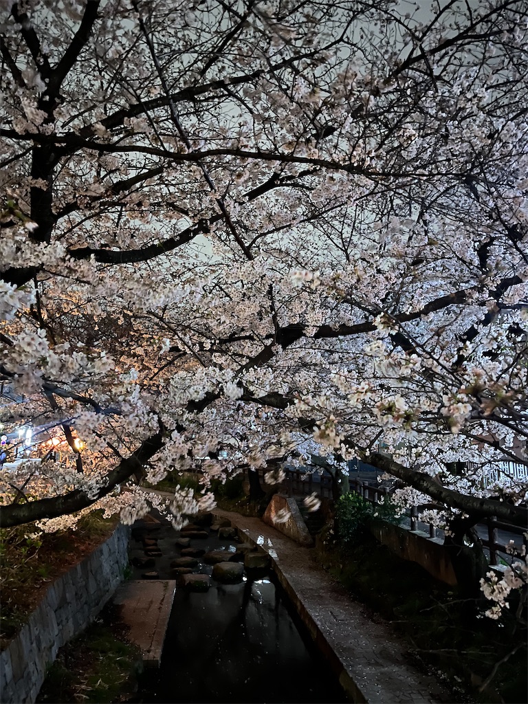 f:id:im_lonpla:20250402221000j:image