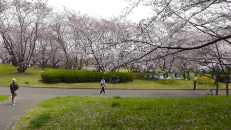 f:id:ima-2:20170405110711j:image f:id:ima-2:20170405110711j:image