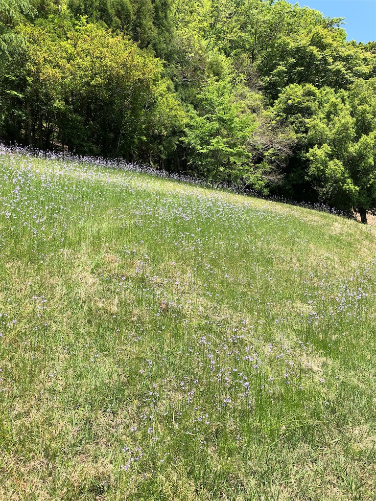f:id:ima300000000blog:20190505102558j:image f:id:ima300000000blog:20190505102558j:image