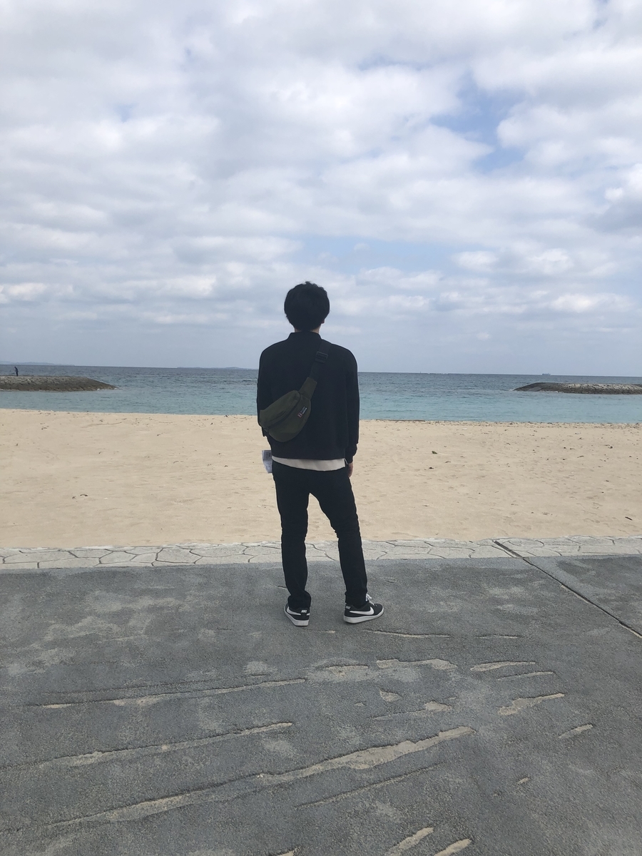 f:id:ima_daichkkk:20190409234658j:plain