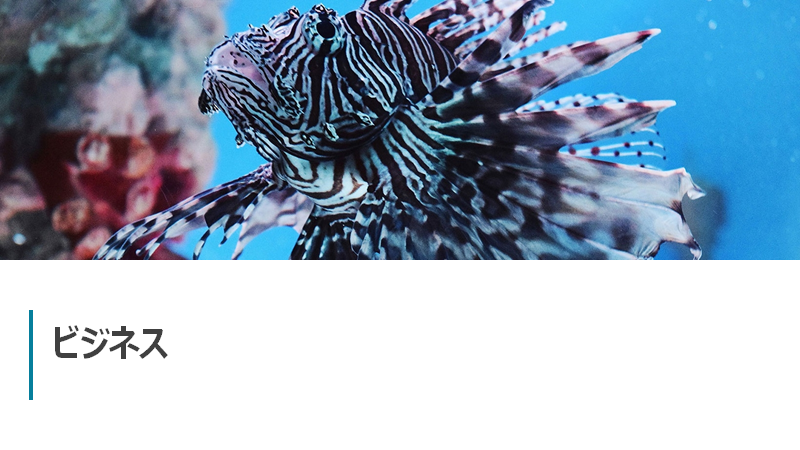 f:id:imacyu:20210401222828p:plain