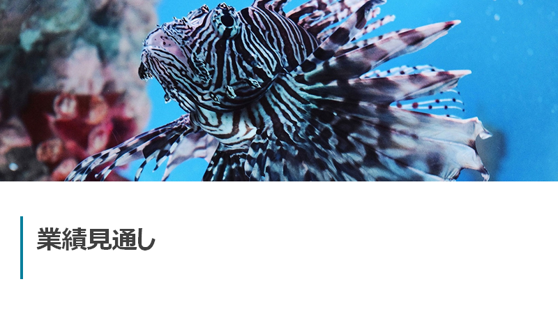 f:id:imacyu:20210401222956p:plain