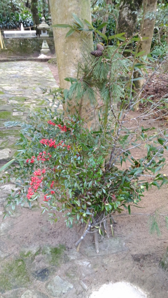 f:id:imadamaiko:20170102162151j:plain