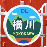 Dlyokokawahm1