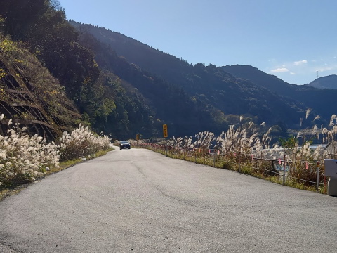 f:id:imadegawa075:20220405224332j:plain