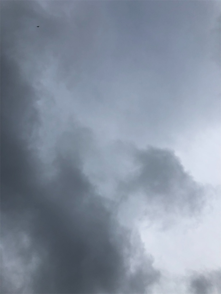 f:id:imadokihatake:20180526175438j:image f:id:imadokihatake:20180526175438j:image
