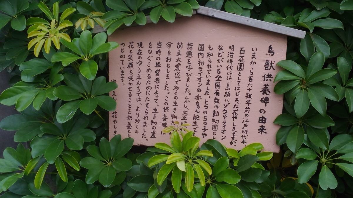 f:id:imagawax:20200211220003j:plain f:id:imagawax:20200211220003j:plain