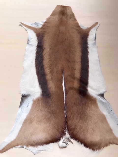f:id:imagical:20191105064302j:plain f:id:imagical:20191105064302j:plain