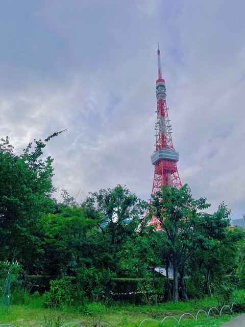 プリンス芝公園から見た東京タワー