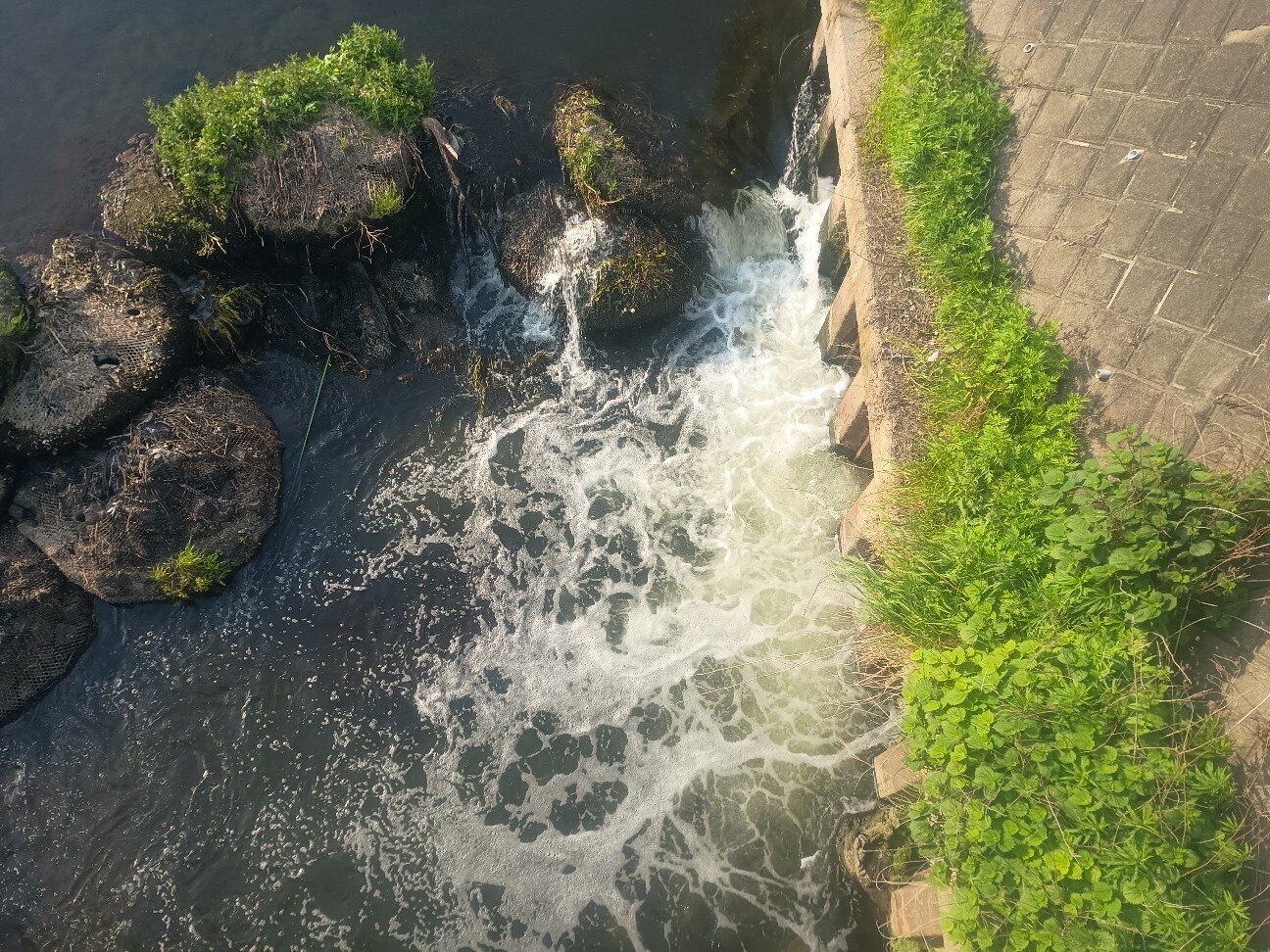 f:id:imagon:20260512191926j:image f:id:imagon:20260512191926j:image