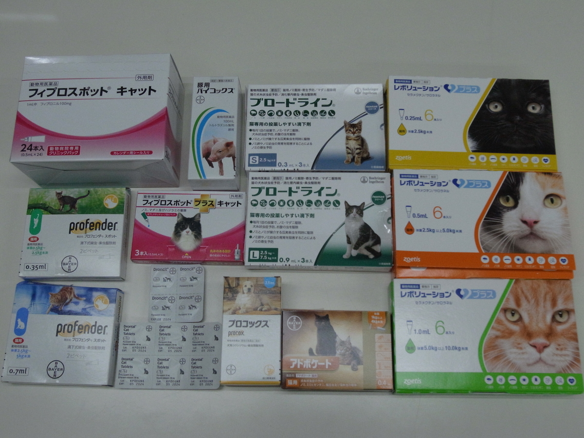 voices of cats 猫の声