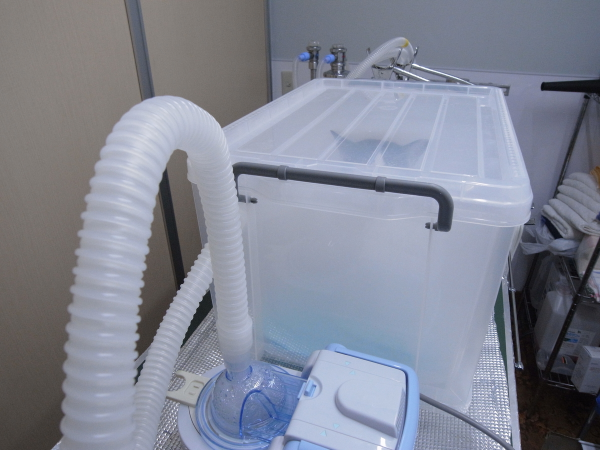 f:id:imahokocontact:20210528221811j:plain