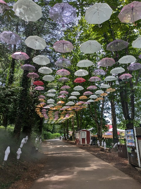 f:id:imai64240:20241010162332j:image f:id:imai64240:20241010162332j:image