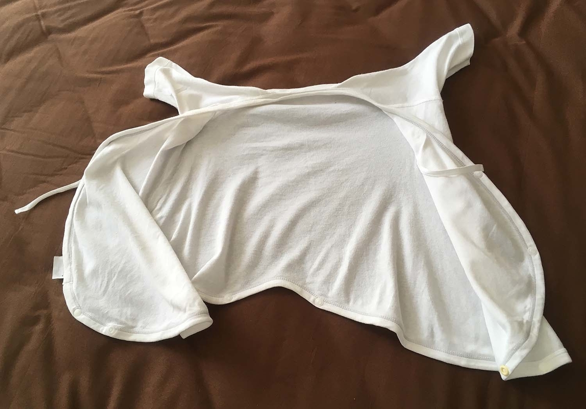 f:id:imai_ez:20190404124407j:plain