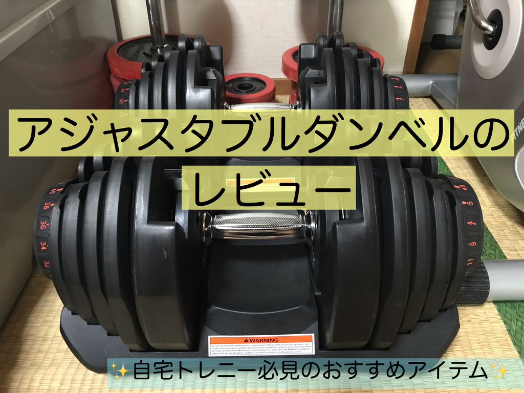 f:id:imaikiaruku:20190220162232j:plain f:id:imaikiaruku:20190220162232j:plain