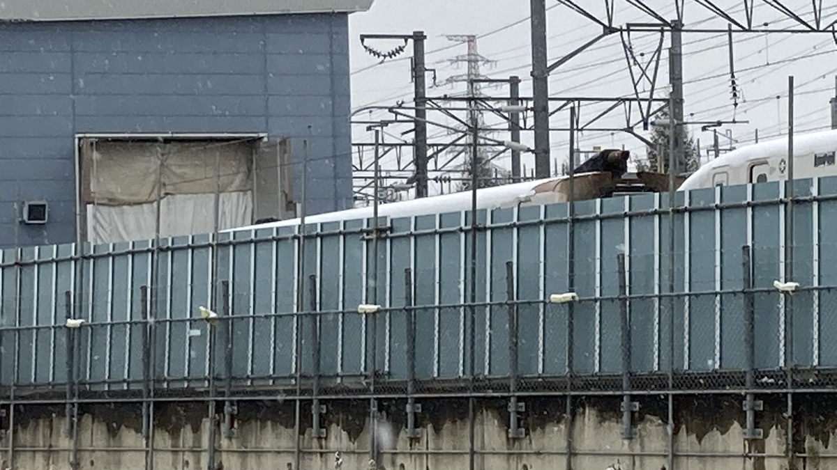 f:id:imaisato:20201216170206j:plain