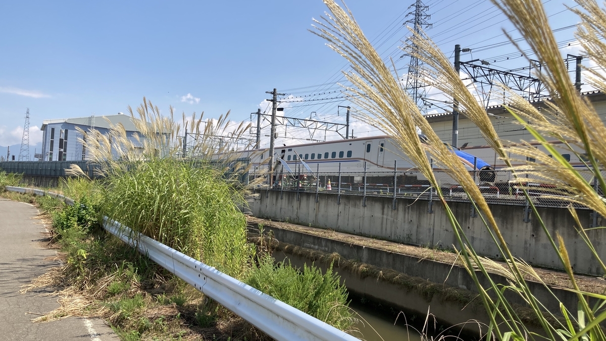 f:id:imaisato:20201219221522j:plain