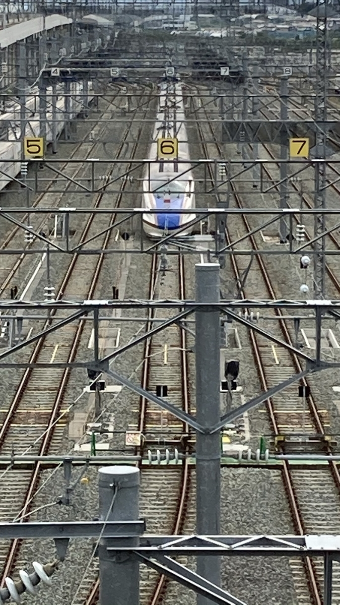 f:id:imaisato:20201220010055j:plain