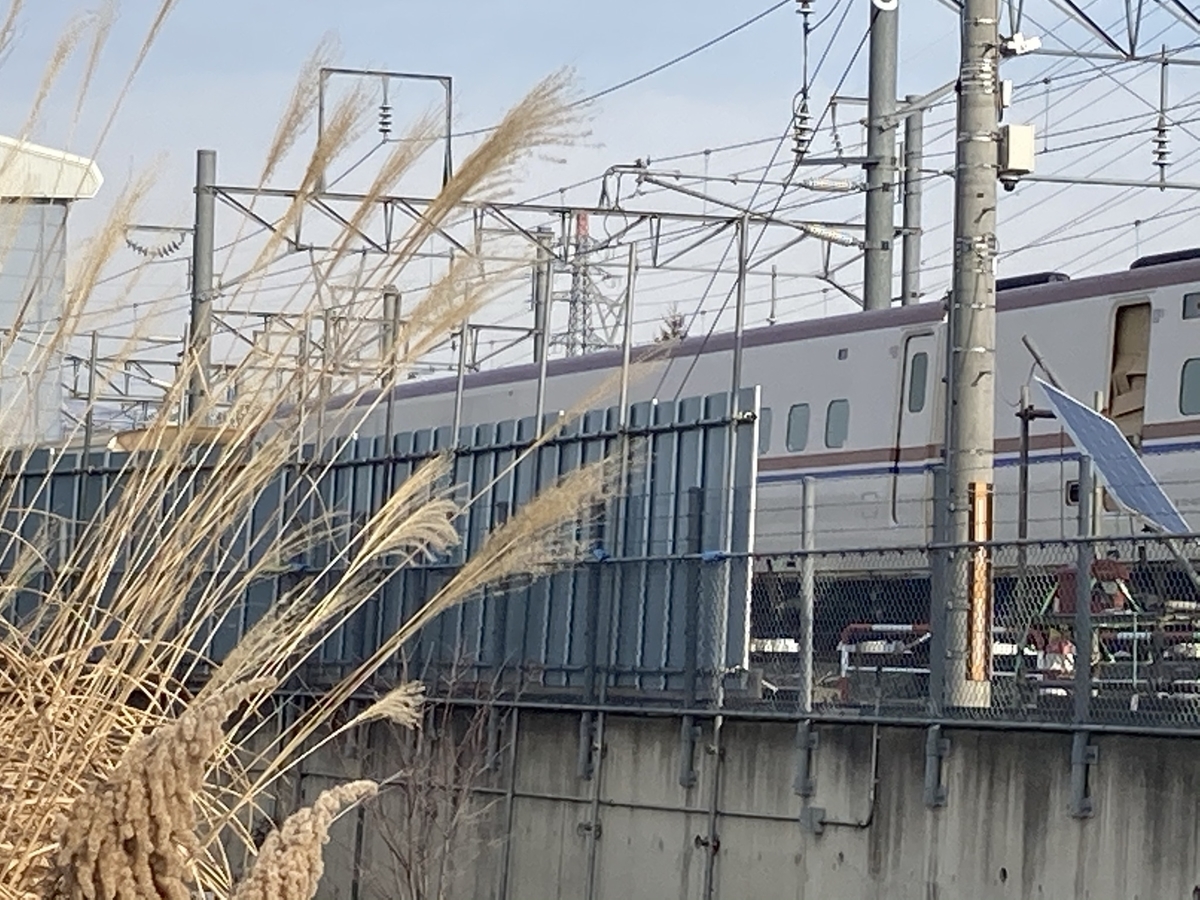 f:id:imaisato:20201229203030j:plain