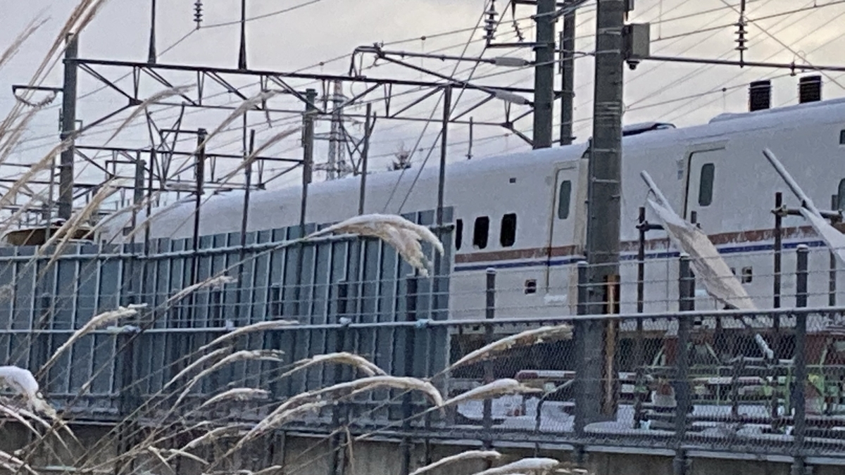 f:id:imaisato:20210109124356j:plain