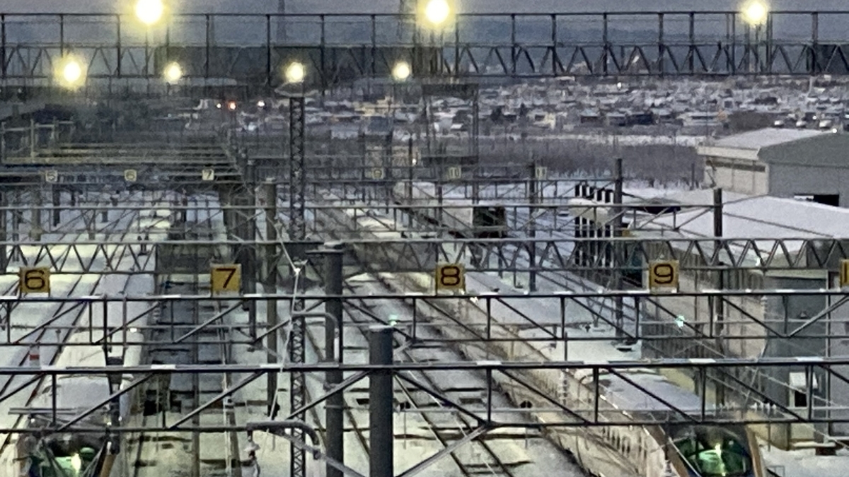 f:id:imaisato:20210109131445j:plain