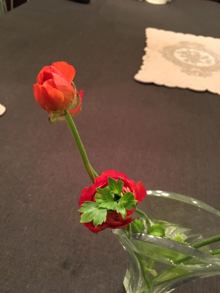 f:id:imaise-yoshikawa:20200219183630j:plain f:id:imaise-yoshikawa:20200219183630j:plain