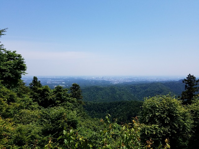 f:id:imakarayama:20201122173828j:image