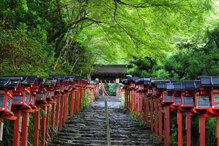 ここがダメだよ日本