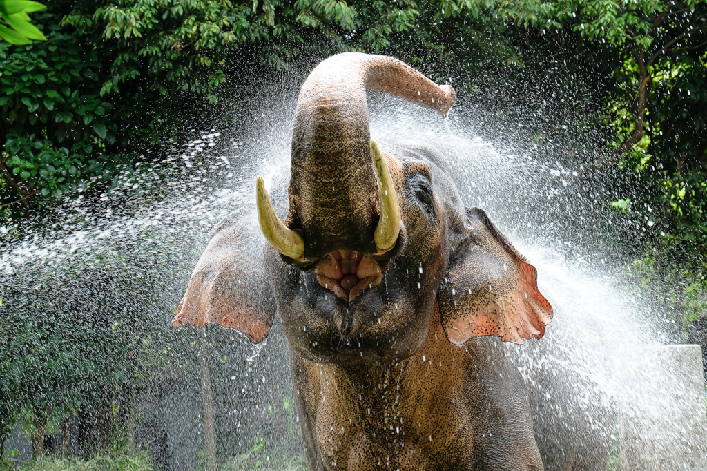 熱中症、こまめな水分補給、不十分な対策