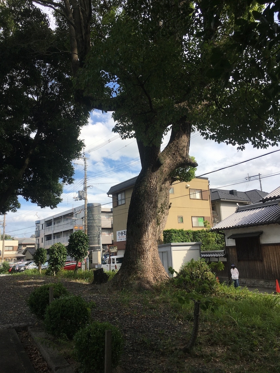 加茂神社（かもじんじゃ）in 大阪府寝屋川市