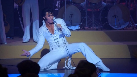 エルヴィス（Elvis）