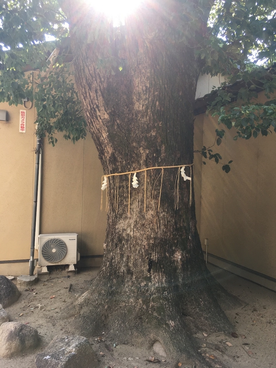 高柳神社・高柳天満宮（たかやなぎじんじゃ・たかやなぎてんまんぐう）、大阪府寝屋川市