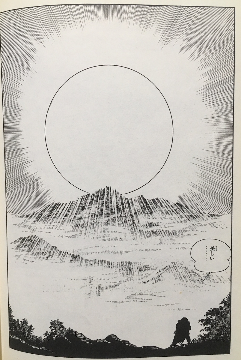 漫画】「火の鳥 鳳凰編」手塚治虫：著（全1巻）大人読みしました