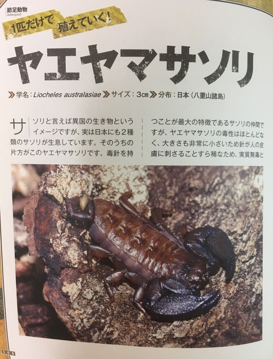 世界の奇虫図鑑：キモカワイイ虫たちに出会える、田邊拓哉