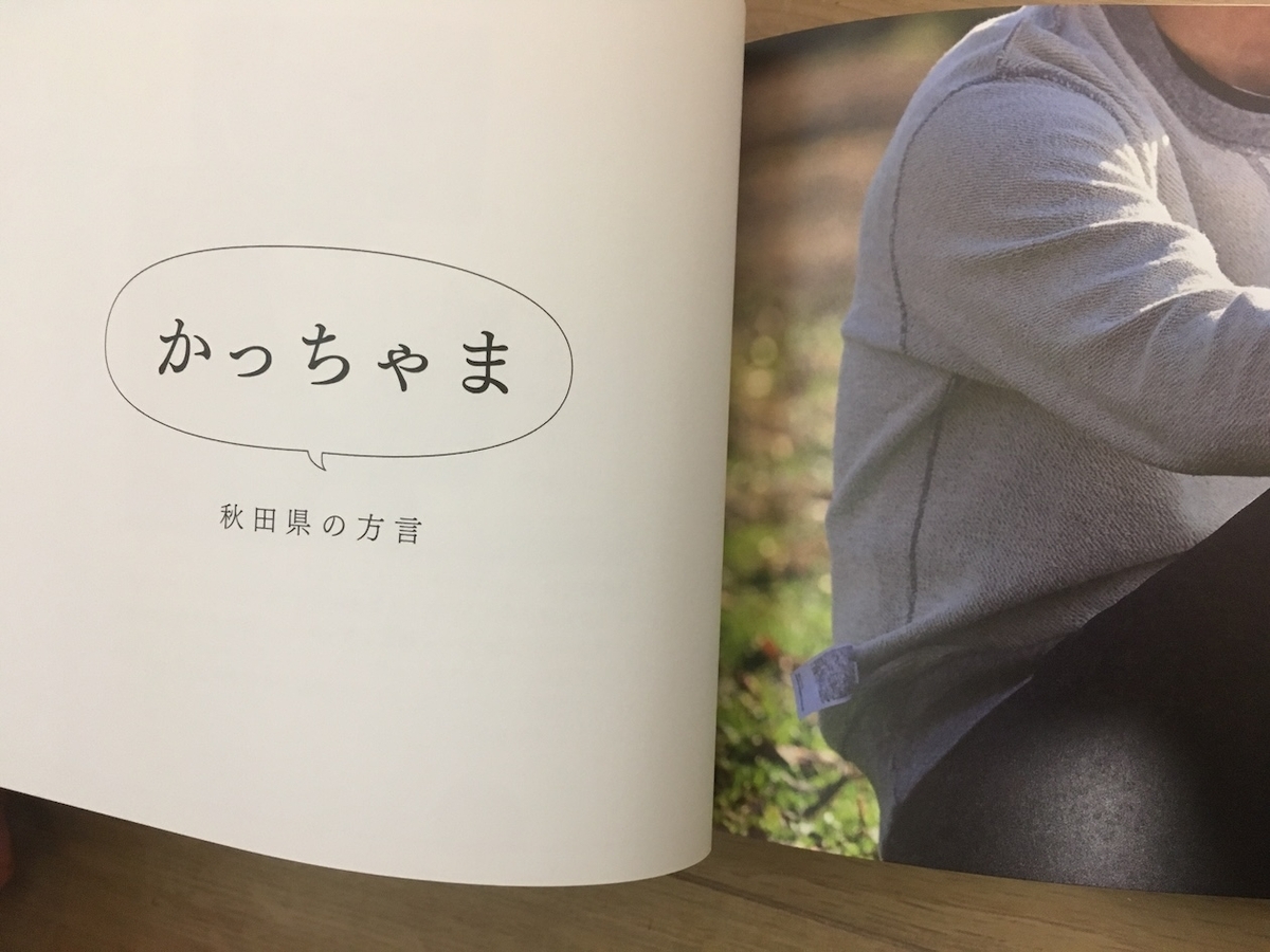 目でみる方言,岡部敬史,山出高士