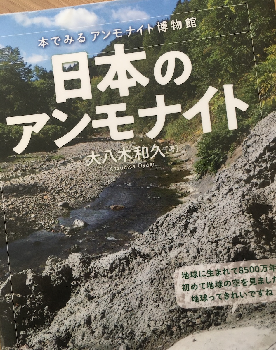 日本のアンモナイトー本でみるアンモナイト博物館,大八木和久