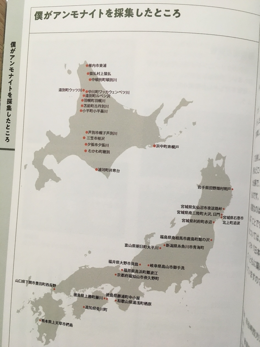 日本のアンモナイトー本でみるアンモナイト博物館,大八木和久