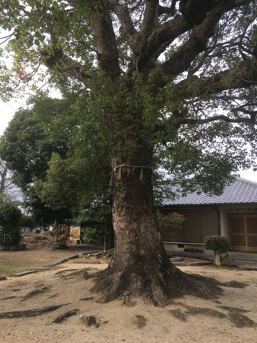素戔嗚尊神社・芥川廃寺（すさのおのみことじんじゃ・あくたがわはいじ）