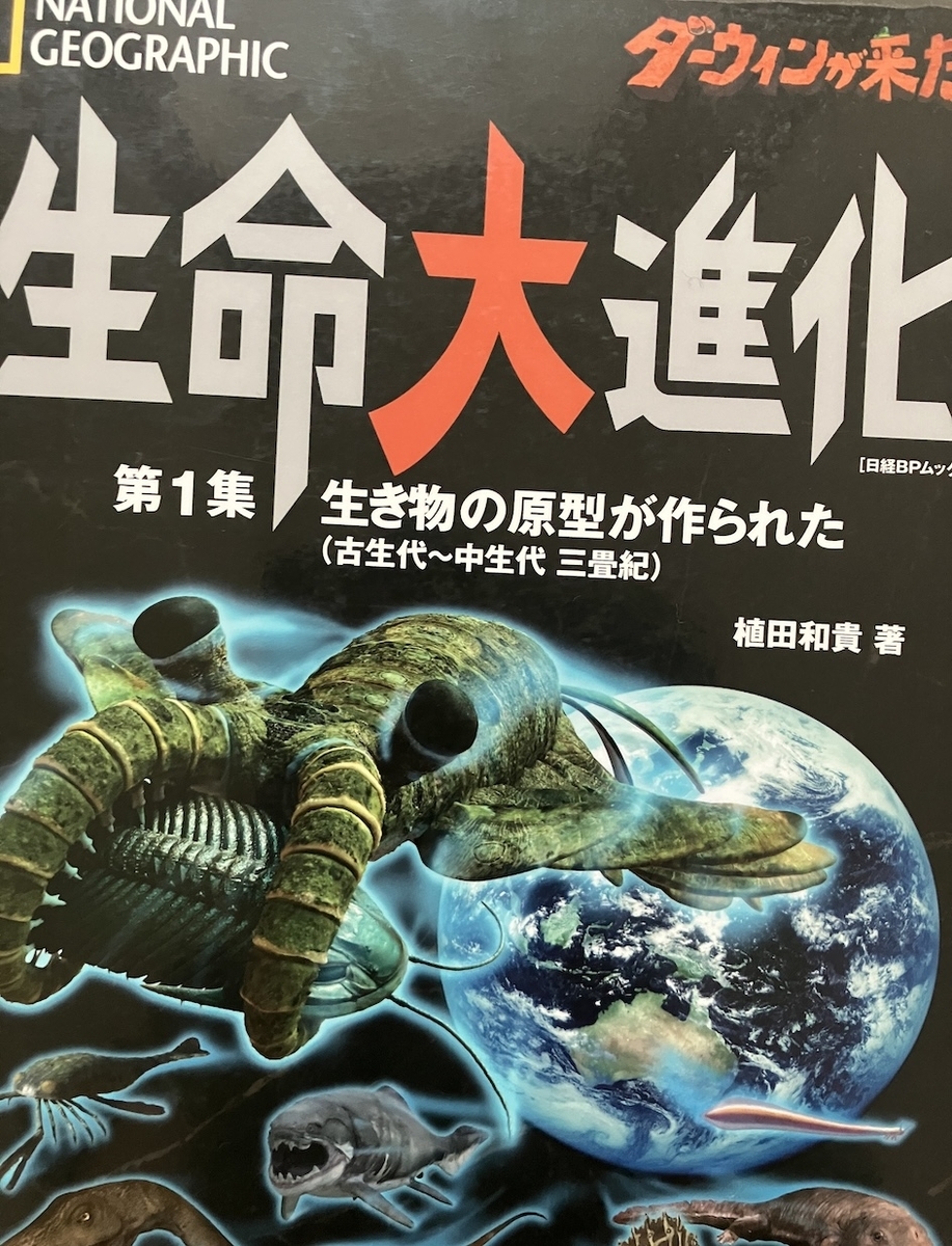 生命大進化第1集,生き物の原型が作られた(古生代~中生代 三畳紀),植田和貴