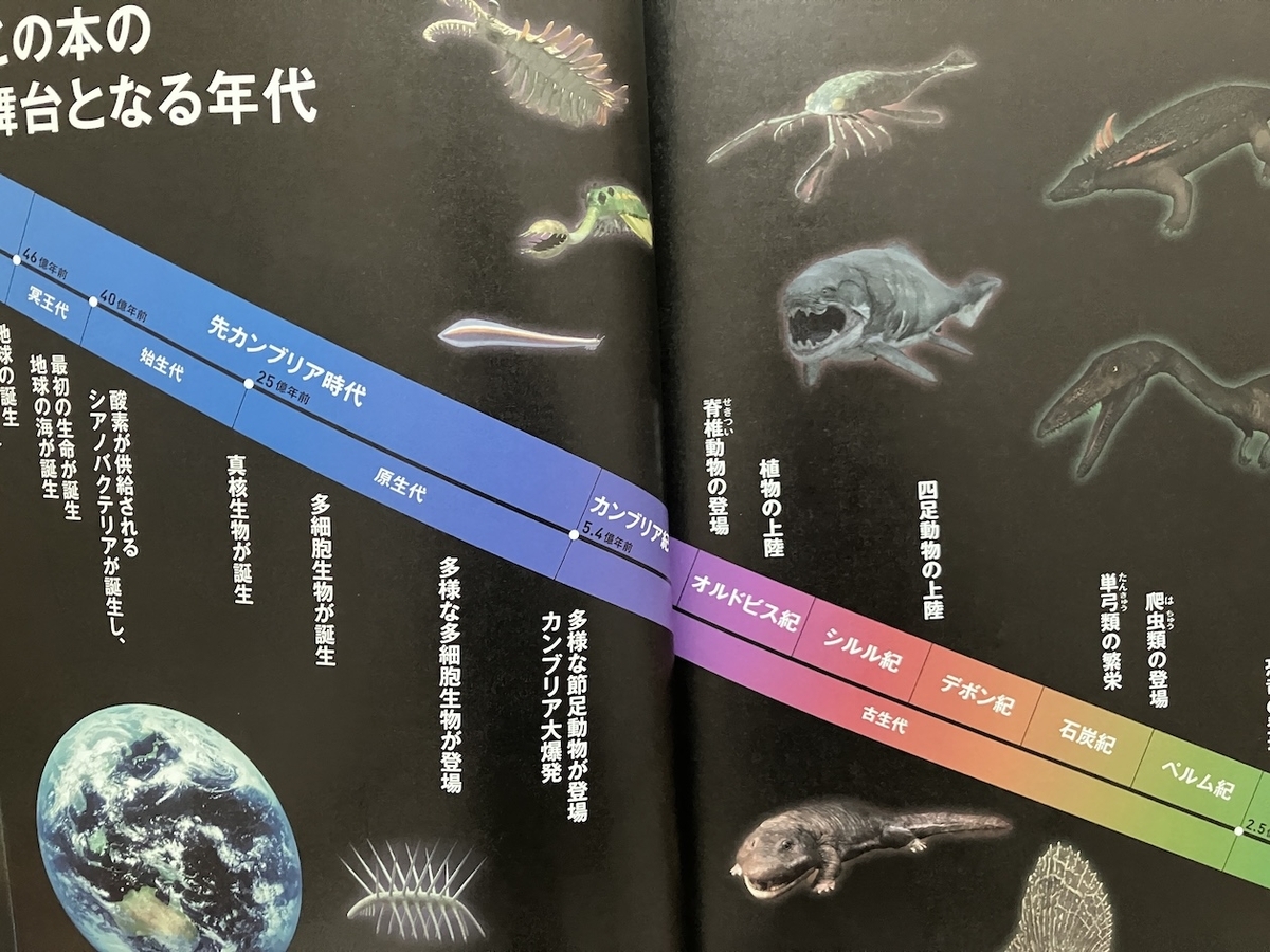生命大進化第1集,生き物の原型が作られた(古生代~中生代 三畳紀),植田和貴