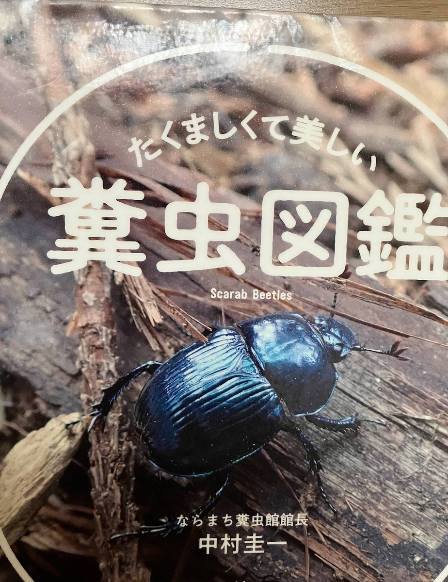 たくましくて美しい糞虫図鑑,中村圭一