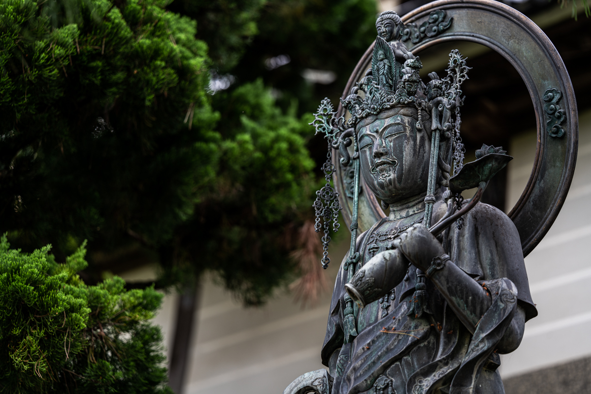 f:id:imasara3:20190618235145j:plain f:id:imasara3:20190618235145j:plain