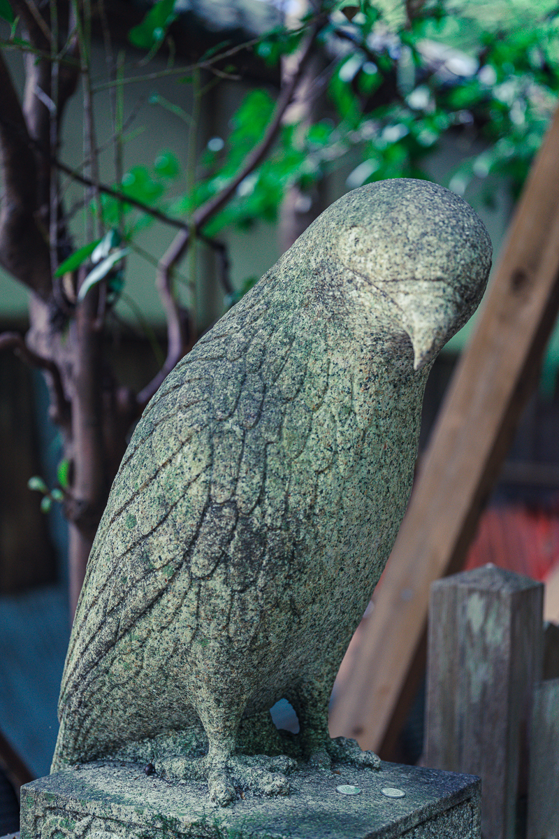 f:id:imasara3:20191207151319j:plain f:id:imasara3:20191207151319j:plain