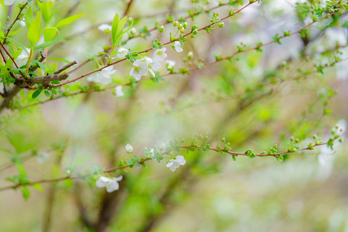 f:id:imasara3:20200314141705j:plain f:id:imasara3:20200314141705j:plain