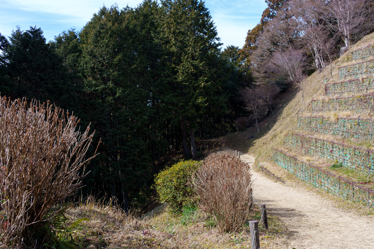 f:id:imasara3:20220305234417j:plain