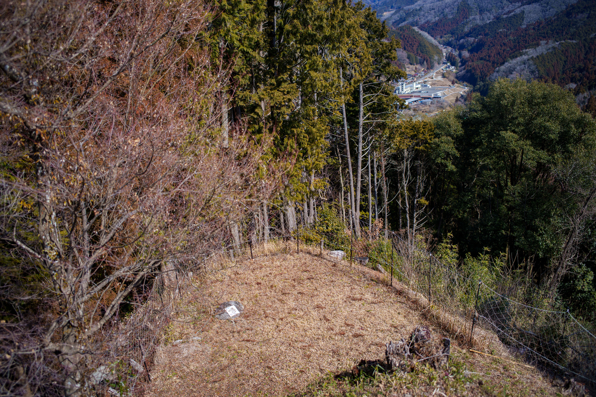 f:id:imasara3:20220306000250j:plain