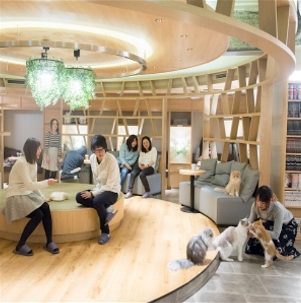 f:id:imasaya:20180709192342j:image
