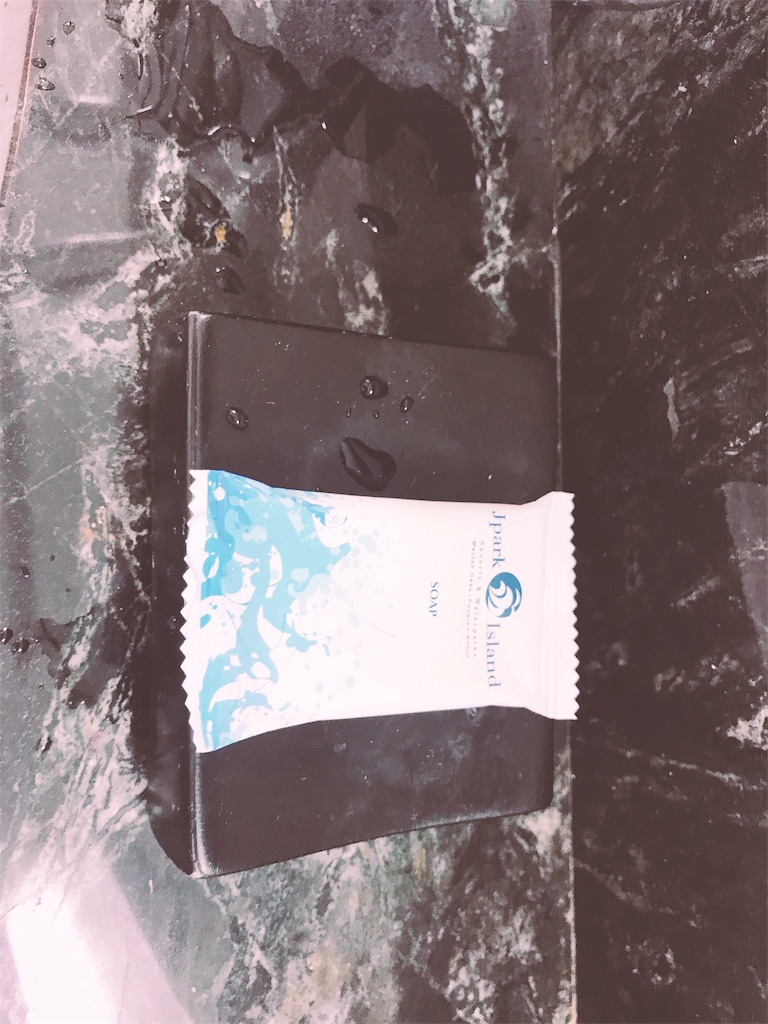 f:id:imasaya:20190213161228j:image