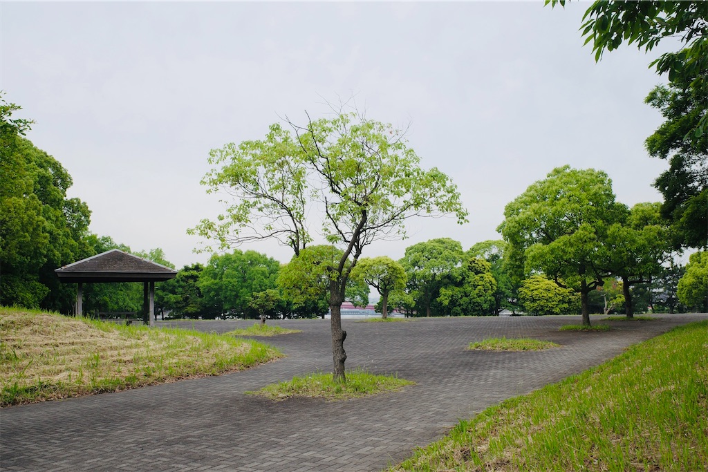 f:id:imasogai:20240519204939j:image f:id:imasogai:20240519204939j:image